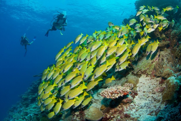 Six Senses Laamu (六善)