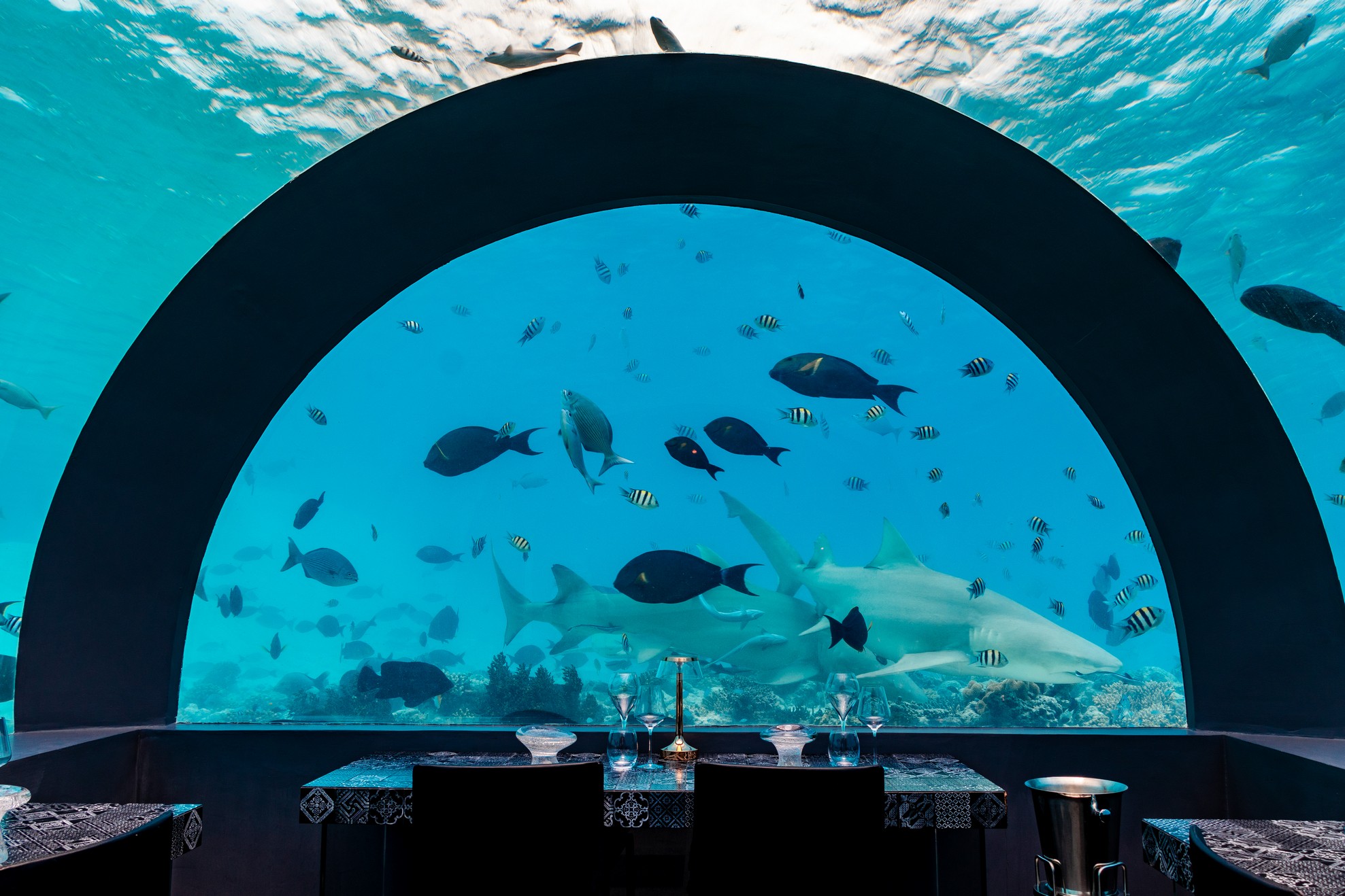 You & Me Maldives (由美島)